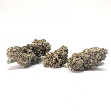 MAGIC POT - FLEURS CBD PREMIUM
