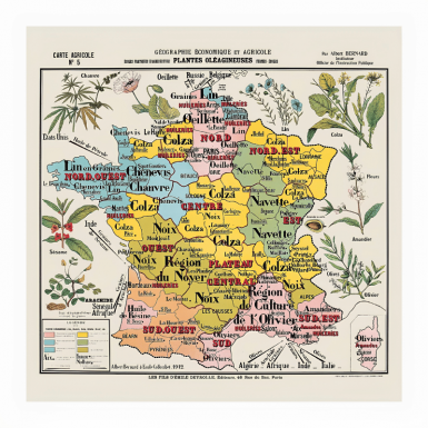 AFFICHE DEYROLLE CARTE AGRICOLE N°5 Chanvre