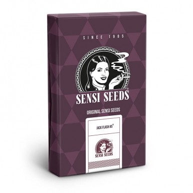 Sensi-Seeds - JACK FLASH 5 - Féminisées