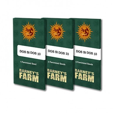 Barney's Farm - DOS SI DOS 33 - Féminisées