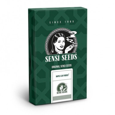 Sensi-Seeds - MAPLE LEAF INDICA - Régulières