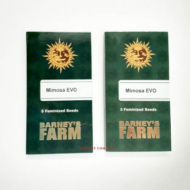 Barney's Farm - MIMOSA EVO - Féminisées
