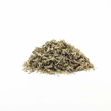 DAMIANA