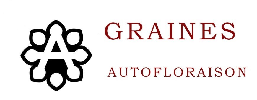 Graines Autofloraison